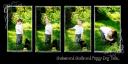 dill__10x20jackresize.jpg